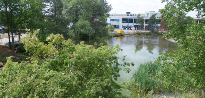 Photograph of the lake at Colchester Hospital
