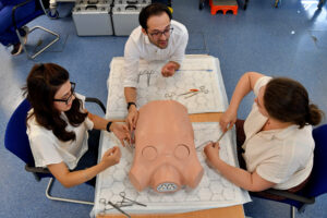 view from high up looking down at three people using torso of a mannikin with medical tools