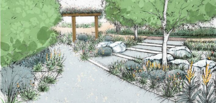 An artist's impression of how the wellbeing garden will look.